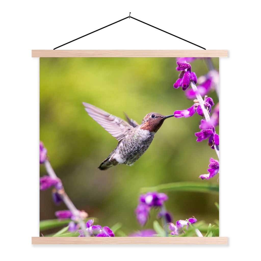 MuchoWow Textilposter Kolibri - Vogel - Natur 120x120 cm mit holzfarbenen Rahmen - Textil-Poster