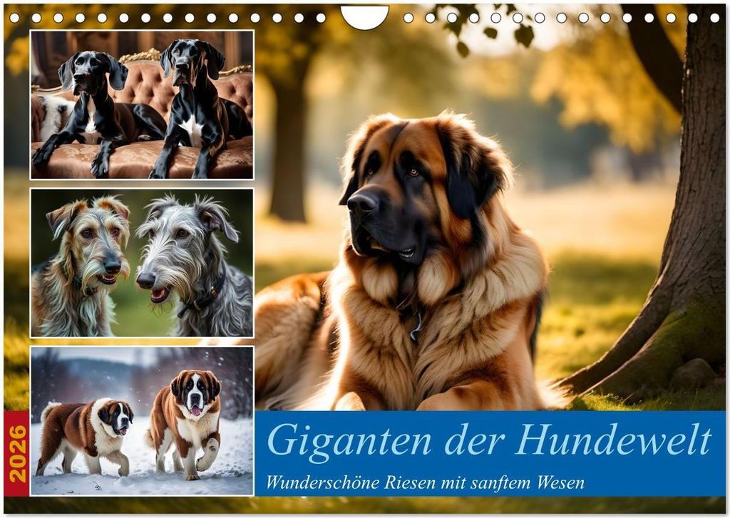 Giganten der Hundwelt (Wandkalender 2026 DIN A4 quer), CALVENDO Monatskalender