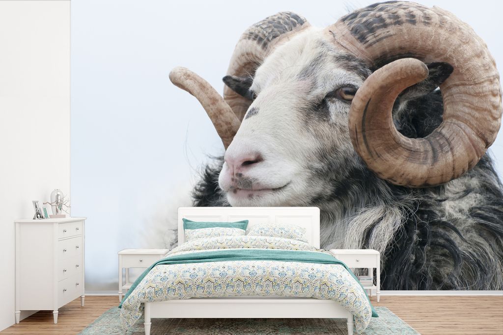 MuchoWow Fototapete für Wohnzimmer oder Schlafzimmer Wandtapete Vinyl Motivtapete Schafe - Horn - Tiere - 420x280 cm - Zimmer für Kinder