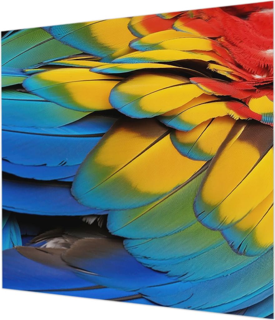 Wandtapete - Dekorative Tapete für Wohnzimmer - Tapetenfolie für Wanddekoration - 250x250 cm - Regenbogenfedern