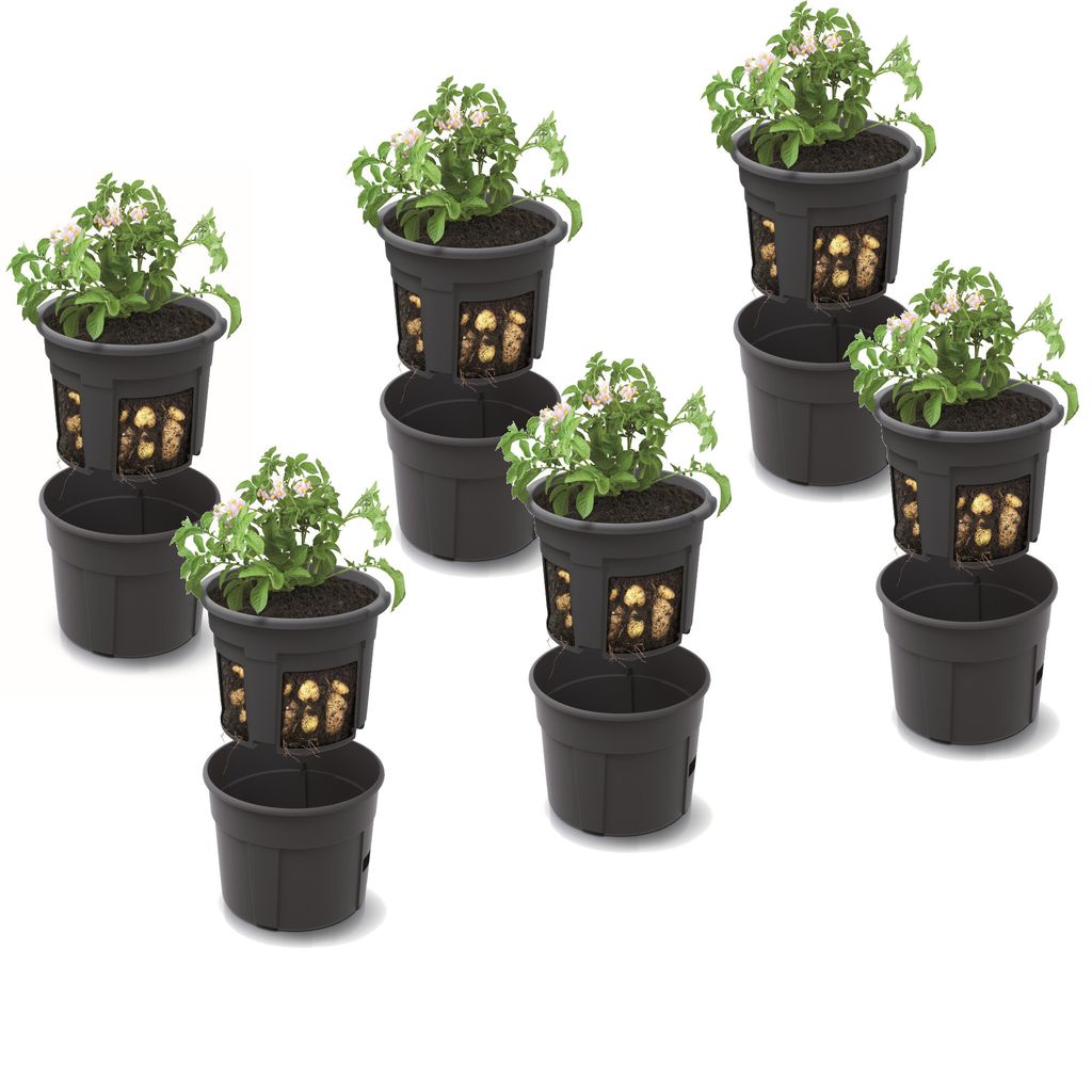 6x Kartoffel Pflanztopf Blumentopf Set 6 Stk Pflanzkübel Produktbild 
