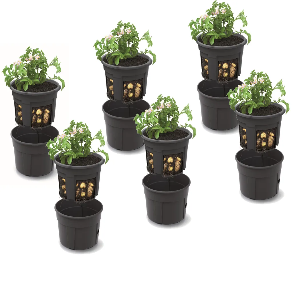 Réussir vos Pommes de Terre en Pot : Set 6 Pots de 28L Haute Qualité