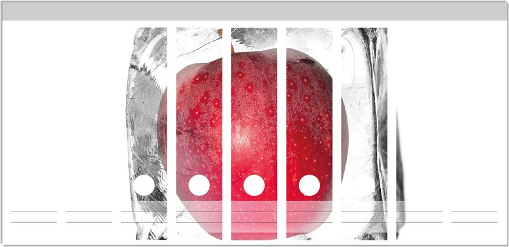 Wallario Ordnerrücken Sticker, selbstklebend für breite Ordner, 9 Stück, Motiv Roter Apfel in Eiswürfel - Eiskaltes Obst