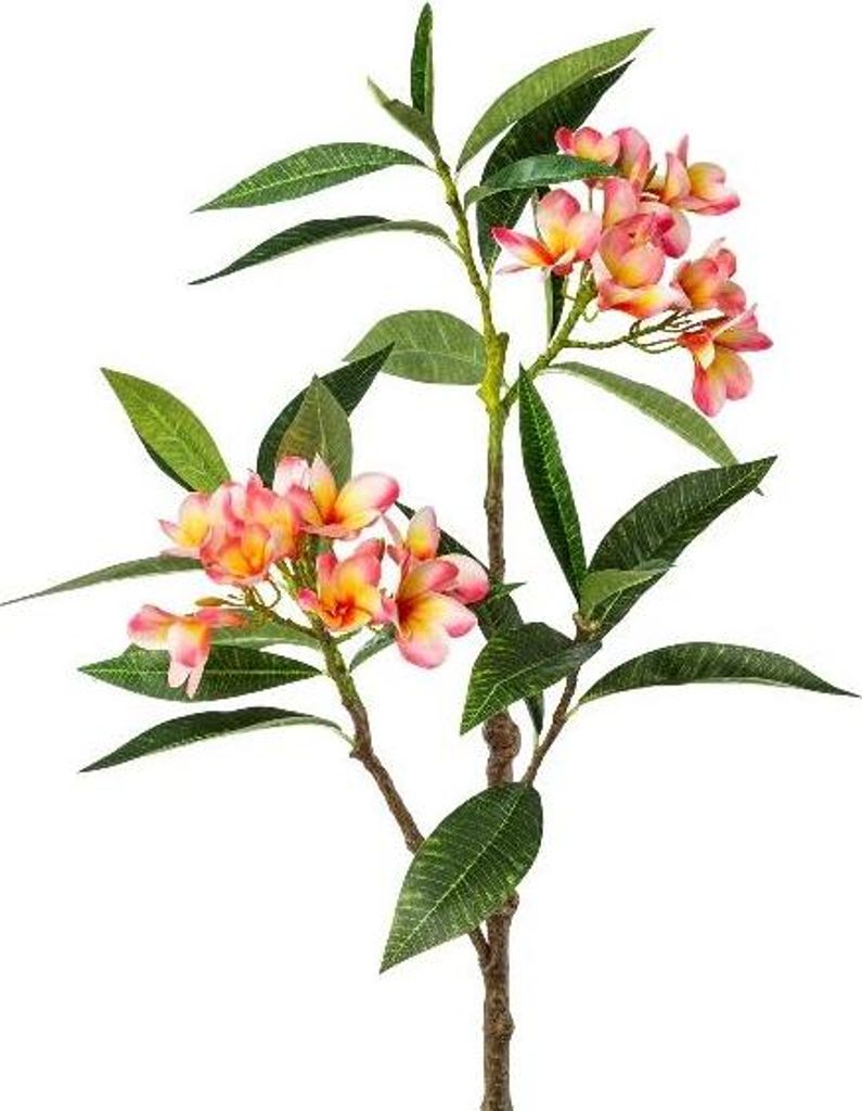 artplants.de Kunstzweig Frangipani DRIFEN, gelb-rosa, 110cm - Deko Frangipanizweig