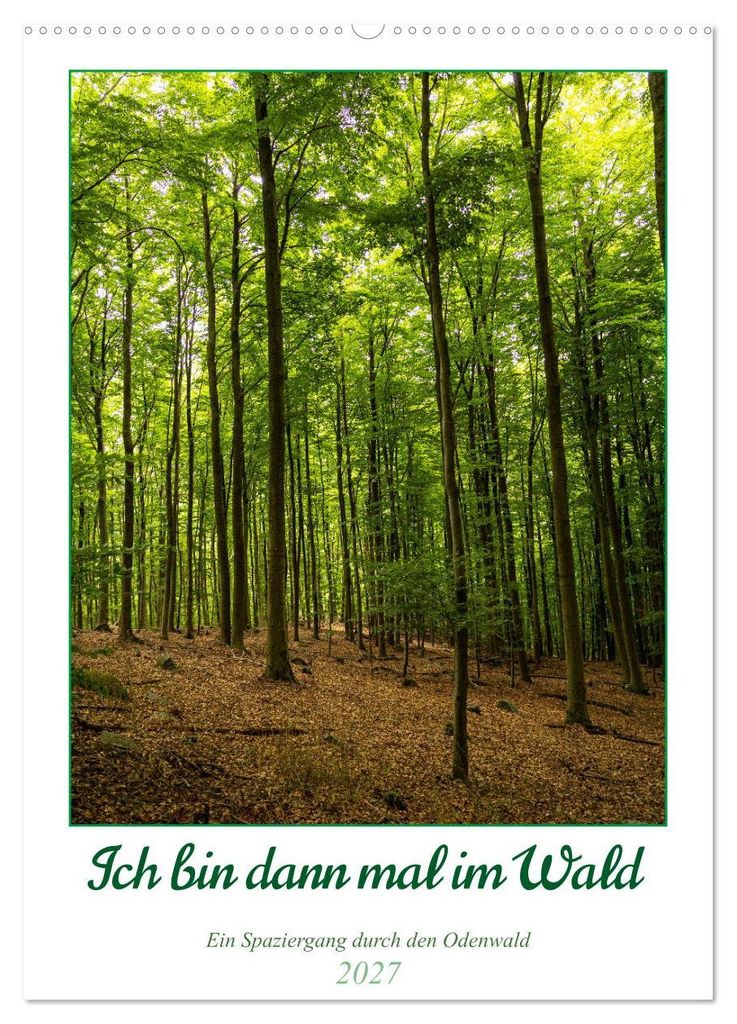 Ich bin dann mal im Wald (Wandkalender 2027 DIN A2 hoch), CALVENDO Monatskalender
