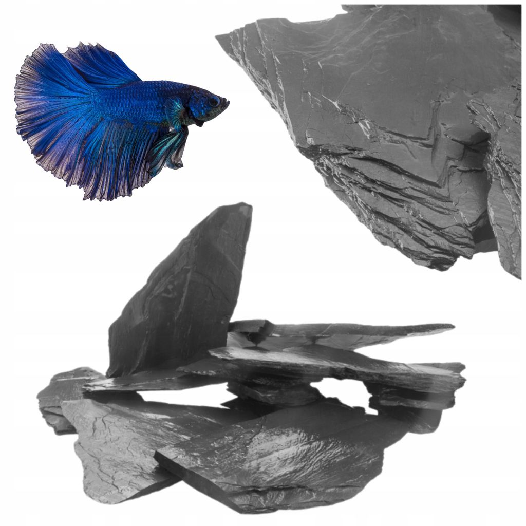 Aquariensteine Schiefer Premium Schwarz 3kg