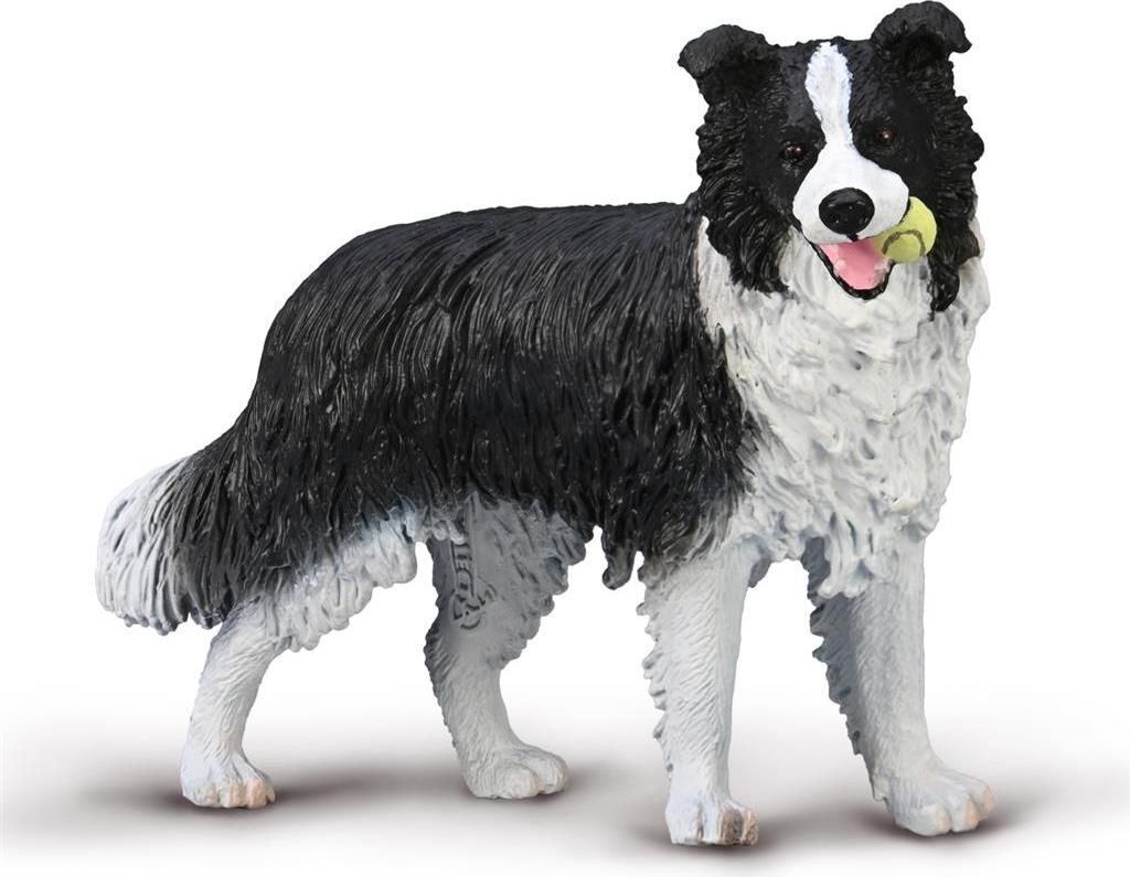 Border Collie Immagine del prodotto 