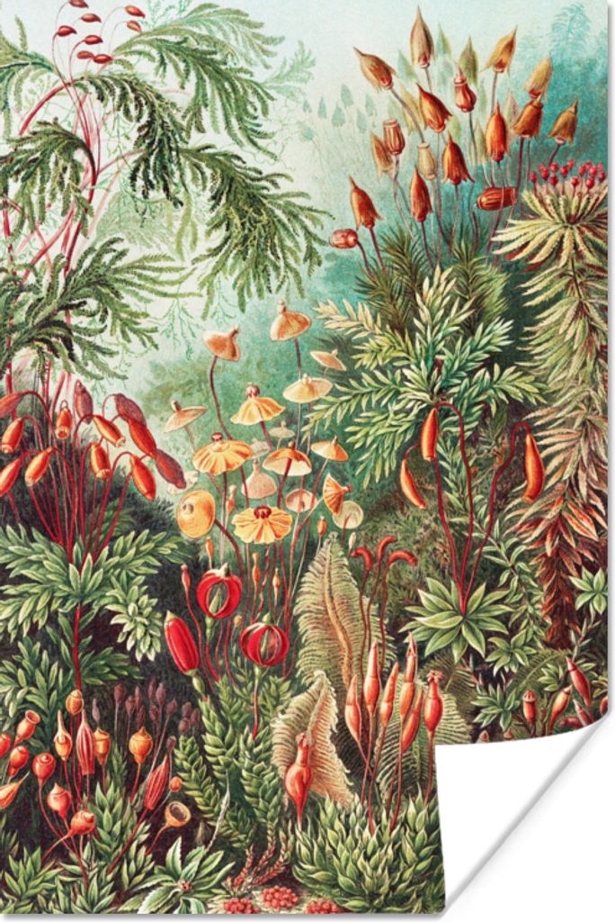 MuchoWow Poster Blumen - Kunst - Vintage - Natur - Botanisch 80x120 cm - Papierdruck