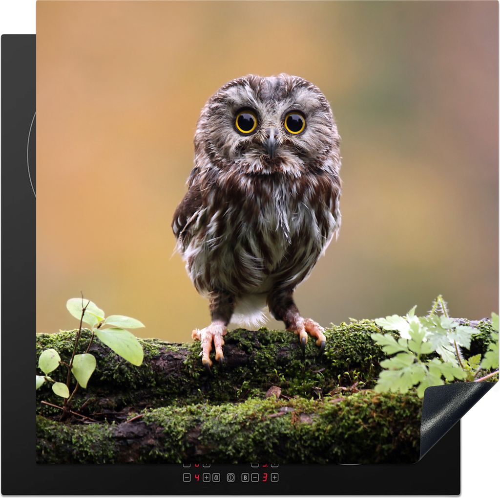 KitchenYeah Herdabdeckplatte Steinkauz , 78x78cm, Küche Deko, Ceranfeld Herdabdeckung, Abdeckplatte fùr Kochfeld