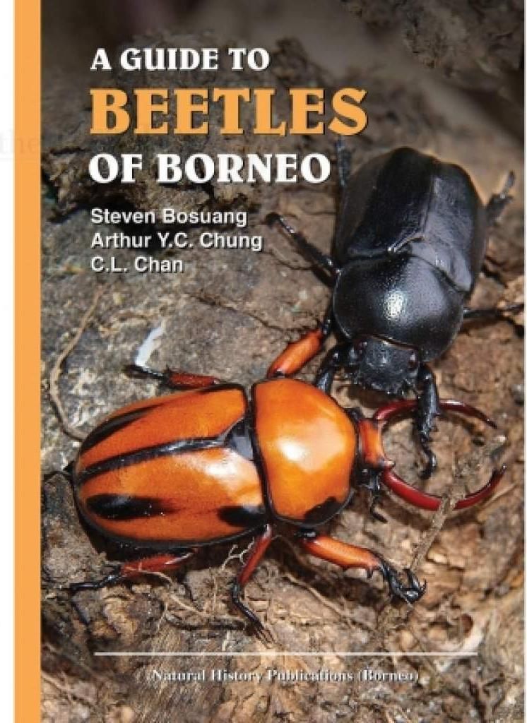 A Guide to Beetles of Borneo