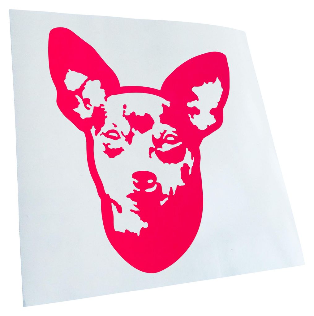 Kiwistar - Autoaufkleber - miniature pinscher Hund - Hellrosa - 12x10cm - Aufkleber für Auto, Laptop, Fahrrad, LKW, Motorrad mehrfarbig JDM Decal ...