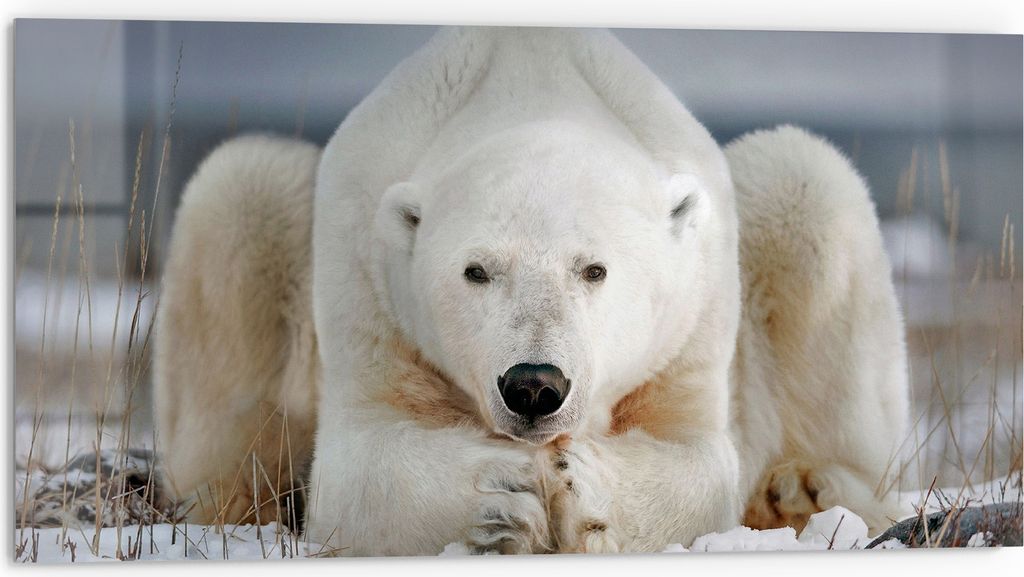 DEQORI Küchenrückwand Glas 80x40 cm 'Polare Stille' Spritzschutz Bad Rückwand Küche