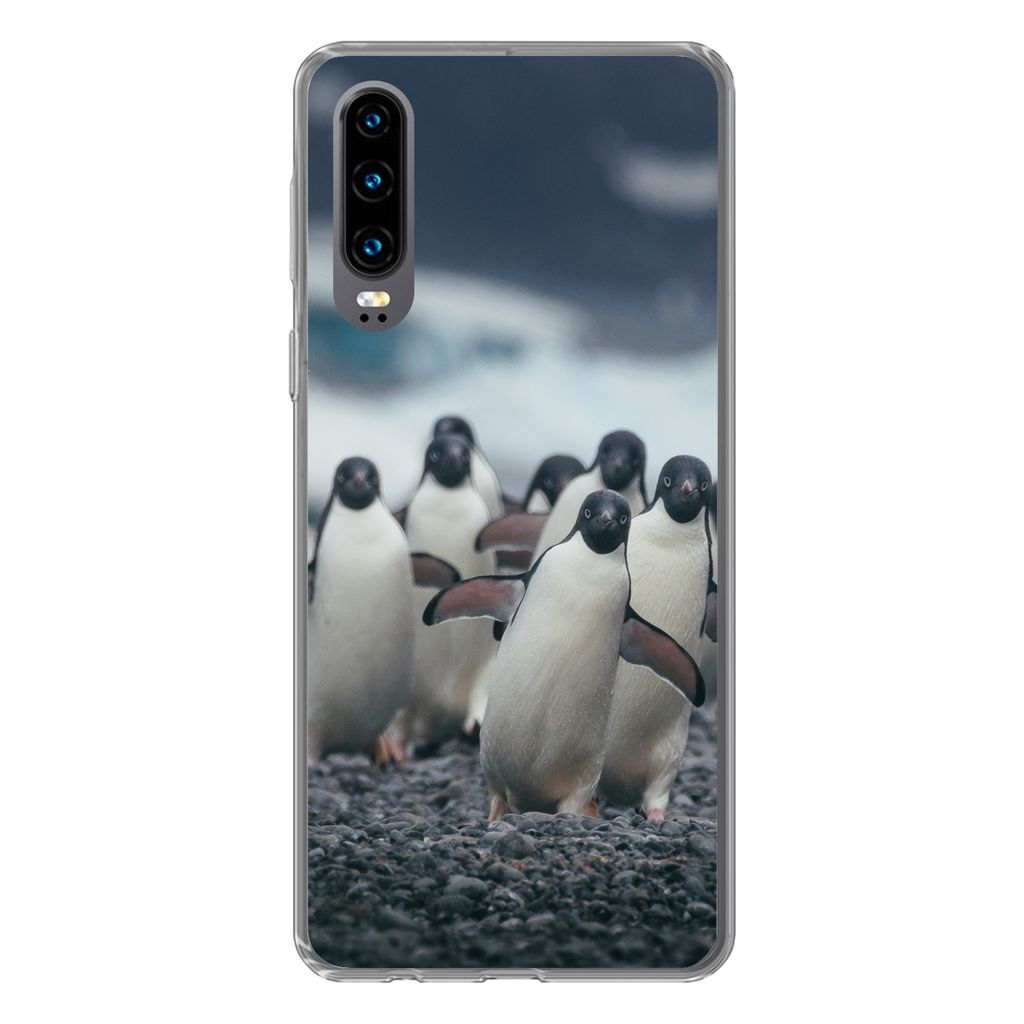 MuchoWow Handyhülle Schutzhülle Hülle für Huawei P30 Adeliepinguine am Strand Silikon Softcase Handy Hülle - Kartenbesitzer