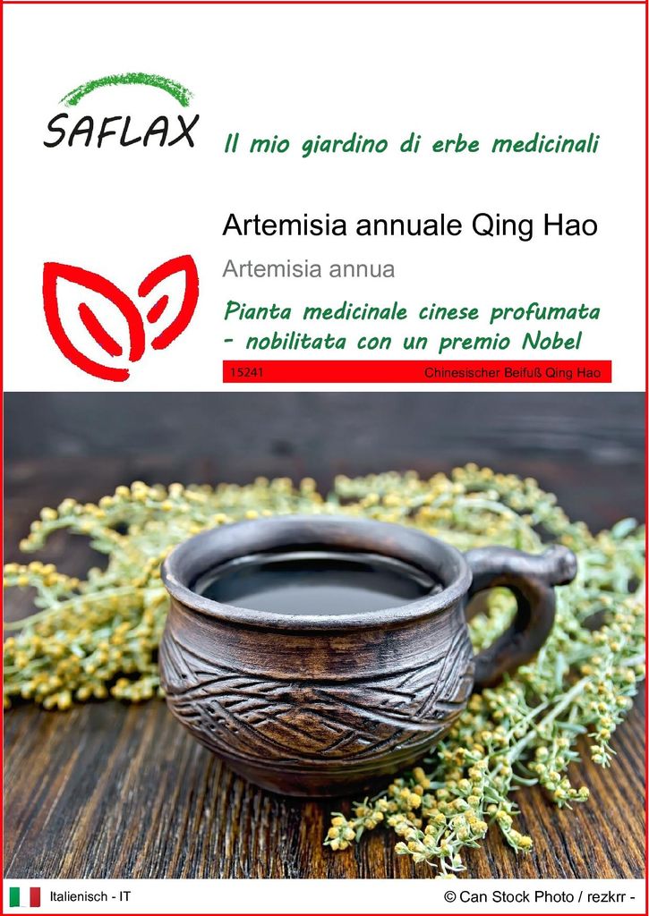 SAFLAX  - Artemisia annuale Qing Hao - 250 semi - Artemisia Immagine del prodotto 