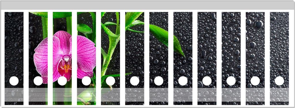 Wallario Ordnerrücken Sticker, selbstklebend für breite Ordner, 12 Stück, Motiv Bambus und pinke Orchidee auf schwarzem Glas mit Regentropfen
