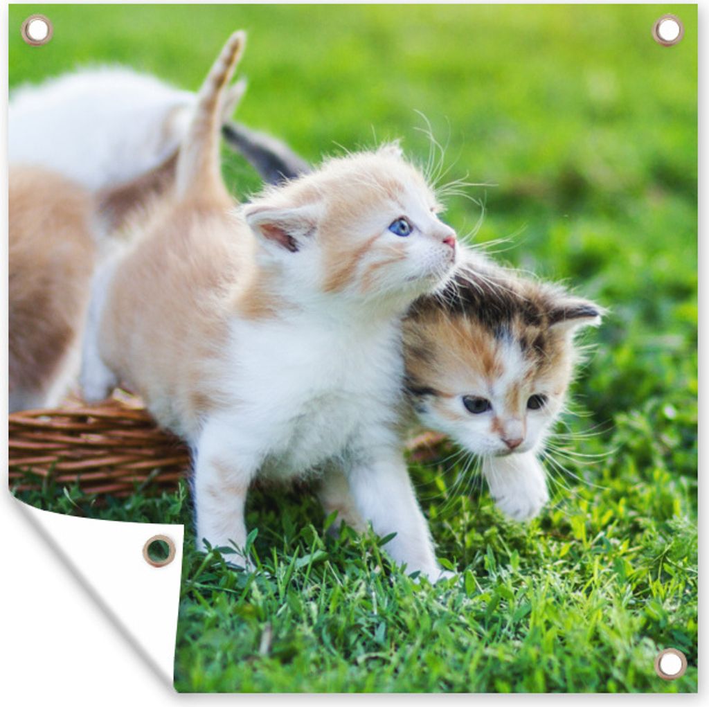 MuchoWow 50x50 cm Outdoor-Poster Gartendeko Sichtschutz Garten Poster für den Garten Kätzchen - Katze - Korb - Mädchen - Kinder - Jungen - Ki...