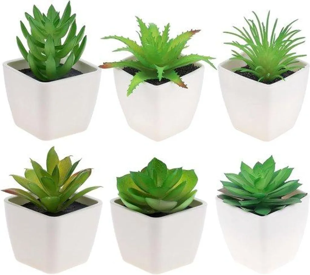 Déco Fenêtre Maison : Set 6 Plantes Artificielles Aloès et Lotus Zen