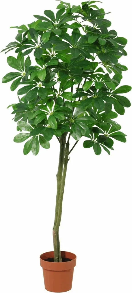 Pachira Artificiel 150 cm Tronc Tressé - Plante Verte Haut de Gamme