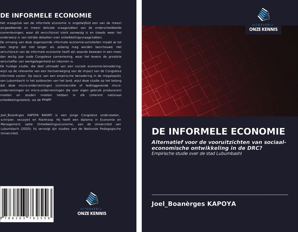 De Informele Economie