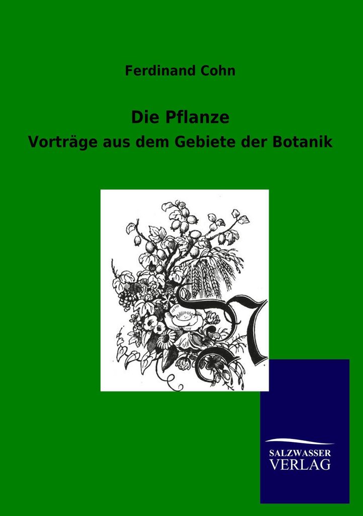 Die Pflanze