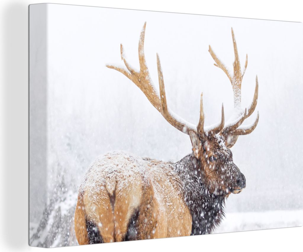 OneMillionCanvasses - Leinwandbilder - 140x90 cm, Verschneite Hirsche im Winter, Wandbilder Kunstdruck Wanddekoration