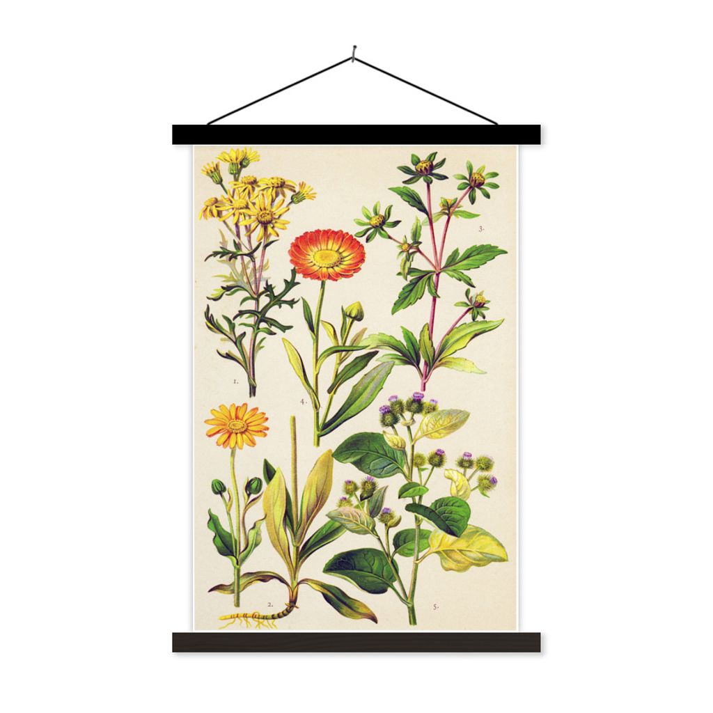 MuchoWow Textilposter Farbige Kräuter Illustration 40x60 cm mit schwarzem Rahmen - Wanddekorationen