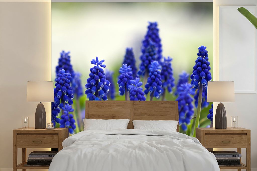 MuchoWow Fototapete für Wohnzimmer oder Schlafzimmer Wandtapete Vinyl Motivtapete Kleine Traubenhyazinthen - 300x300 cm - Wanddekoration