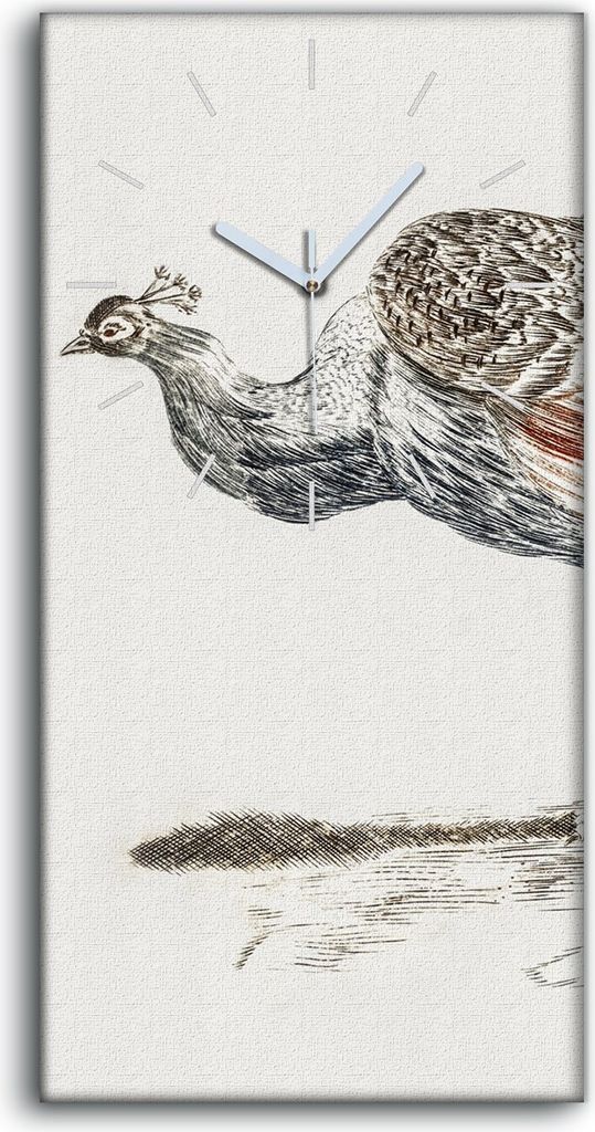 Leinwand Wanduhr Wandkunst Uhr Geräuschlos 30x60 Gemälde Tier Vogel Pfau Kunst - weiße Hände