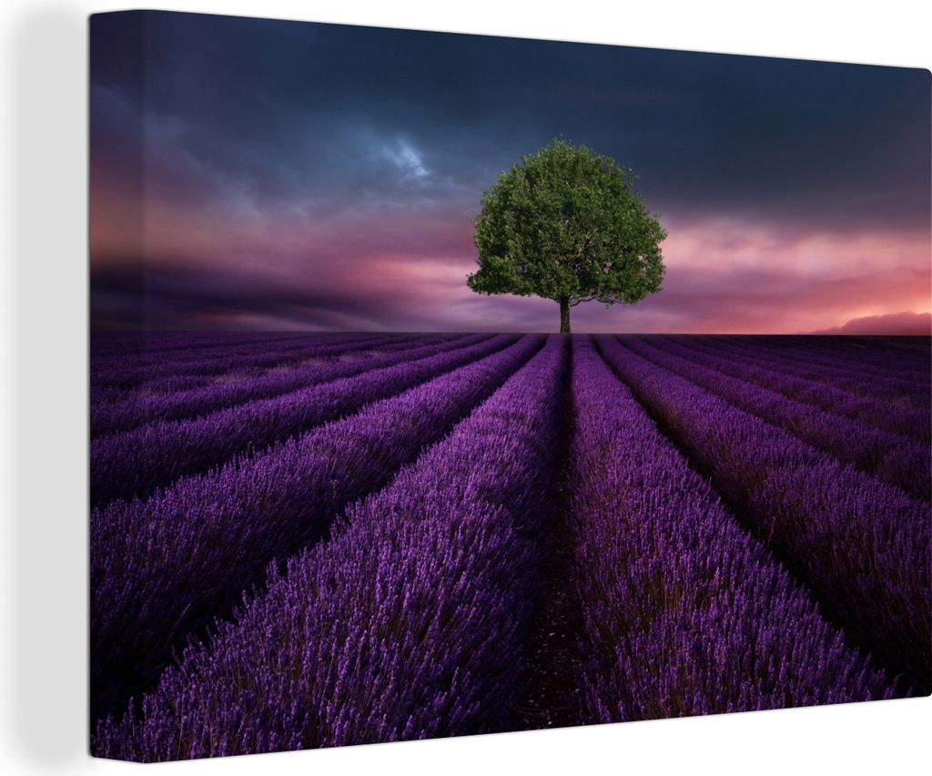OneMillionCanvasses - Leinwandbilder - 140x90 cm, Lavendel - Baum - Lila, Wandbilder Kunstdruck Wanddekoration - Foto auf Leinwand - Gemälde auf...