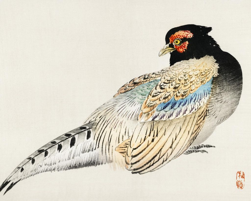 Plakat 50x40cm Wanderfalke, Kōno Bairei Japanisches Vintage für das Wohnzimmer