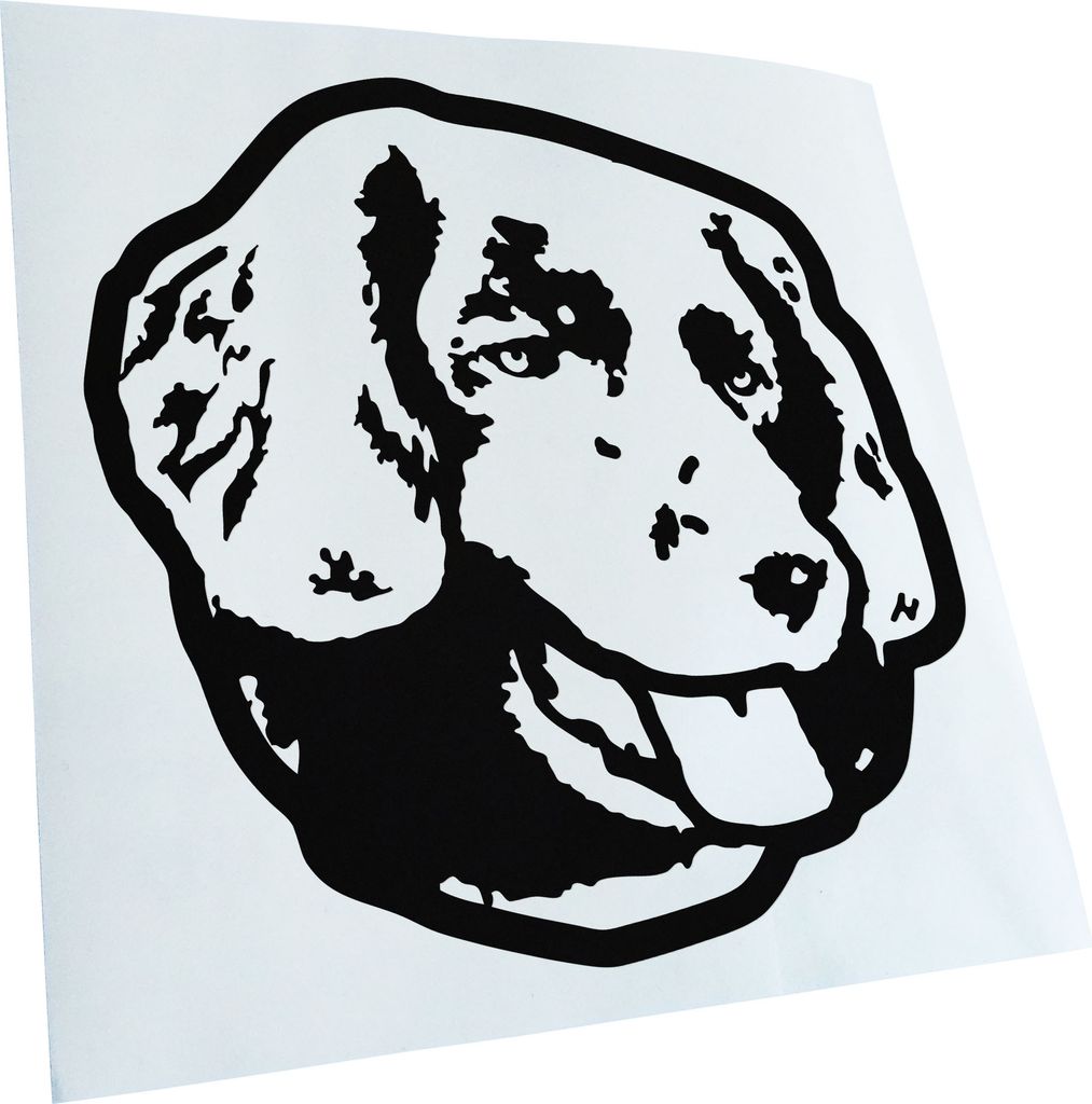 Kiwistar - Autoaufkleber - stabyhoun Hund - Schwarz - 40x40cm - Aufkleber für Auto, Laptop, Fahrrad, LKW, Motorrad mehrfarbig JDM Decal Racing