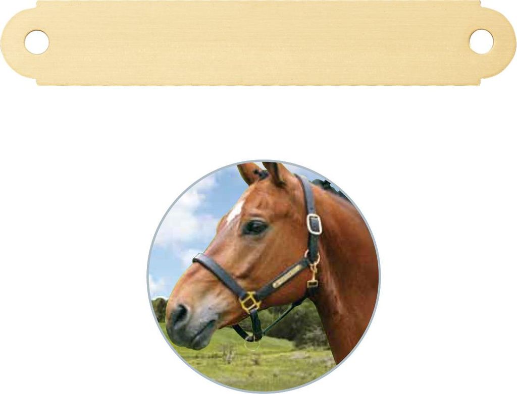 Pferdeschild mit Gravur - mittel (außen gerundet) - für Halfter, Trense, Stall
