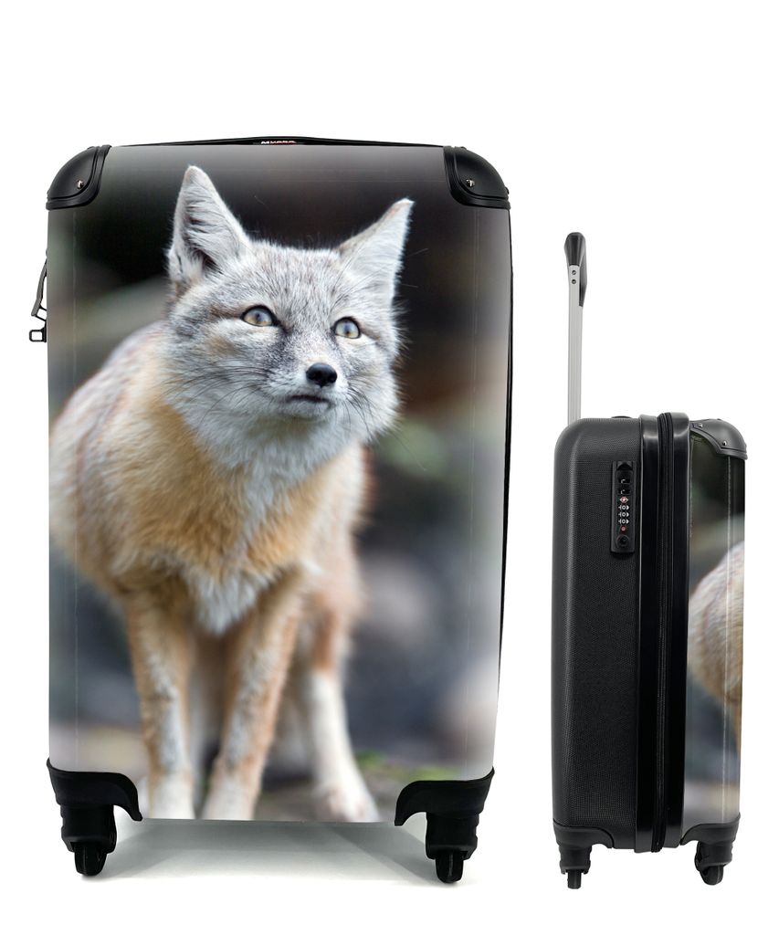 MuchoWow Koffer Handgepäck Trolley Rollkoffer Kleine Reisekoffer mit 4 Rollen - Fuchs - Makro - Baum - Cabin Size < 55x40x23 cm & 55x40x20 cm - ...