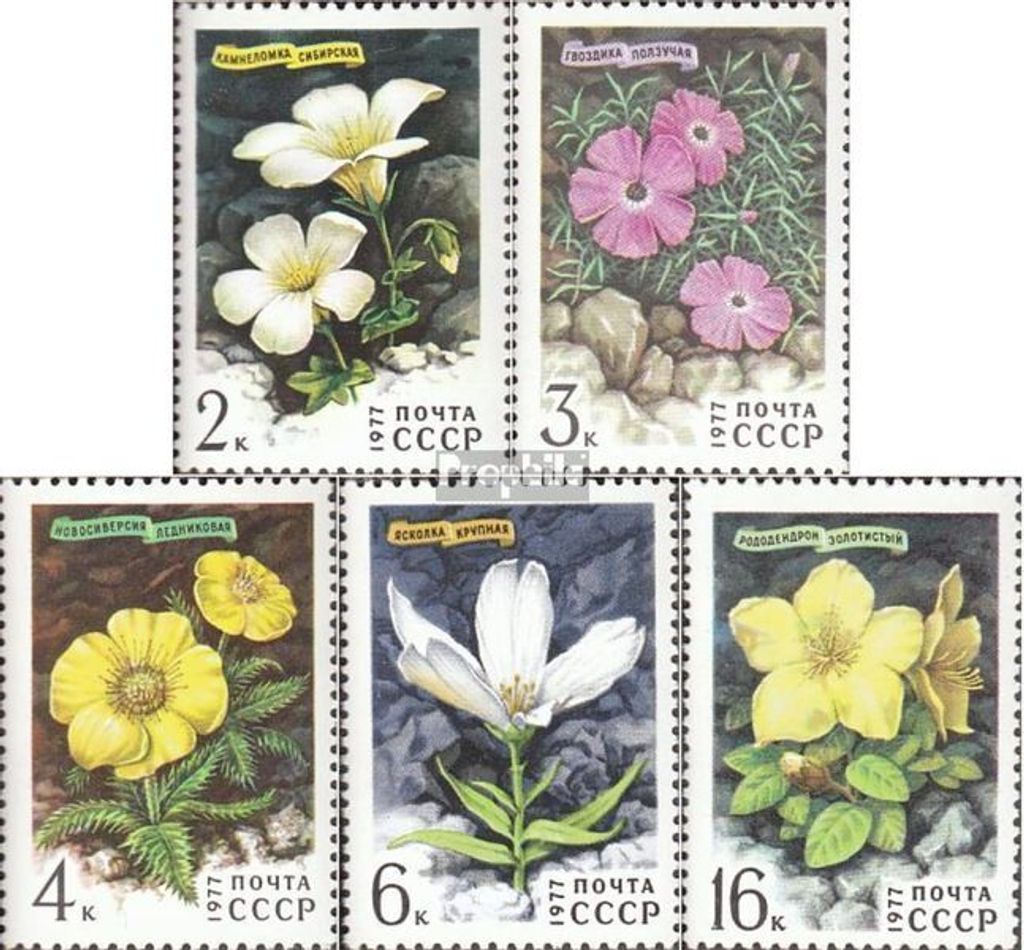 Briefmarken Sowjetunion 1977 Mi 4592-4596 (kompl.Ausg.) postfrisch Sibirische Flora