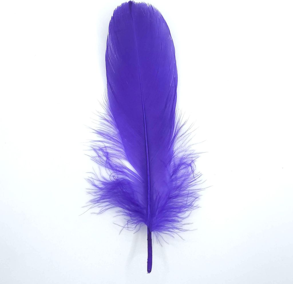 Federn Gänsefedern, ca. 15-20 cm, 10 Stück, Lila