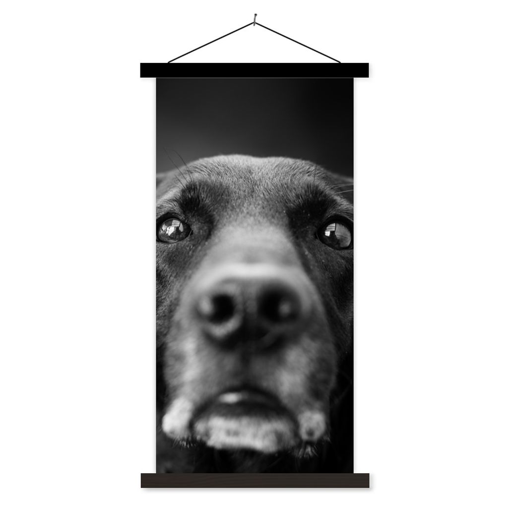 MuchoWow Textilposter Tierprofil Labrador Hund in schwarz und weiß 40x80 cm mit schwarzem Rahmen - Wandemalerei