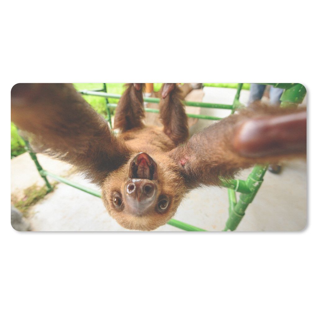 MuchoWow Mauspad Mousepad Faultier - Lustig - Klettergerüst - Kinder - Jungen - Mädchen - Kinder 60x30 cm - Mousepads - Maus Mat - Pad - Mausun...