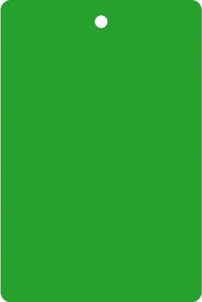 Kollianhänger, blanko, grün, Kunststoff, 1 Befestigungsloch, 64x120mm, 500/VE