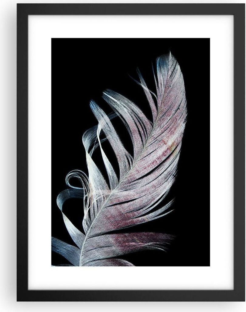 Gerahmtes Poster - Schwarzer Rahmen - Feder die Farben Zartheit - 30x40 cm - Wand Bild - Wanddeko - Wandbilder - Kunstposter - Wandposter - Bilderr...