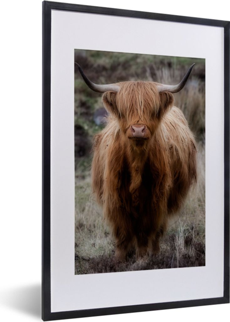 MuchoWow Gerahmtes Poster Schottischer Hochländer - Moos - Gras 40x60 cm - Poster mit Schwarzem Bilderrahmen Wandposter Rahmen Foto Bilder - Pos...