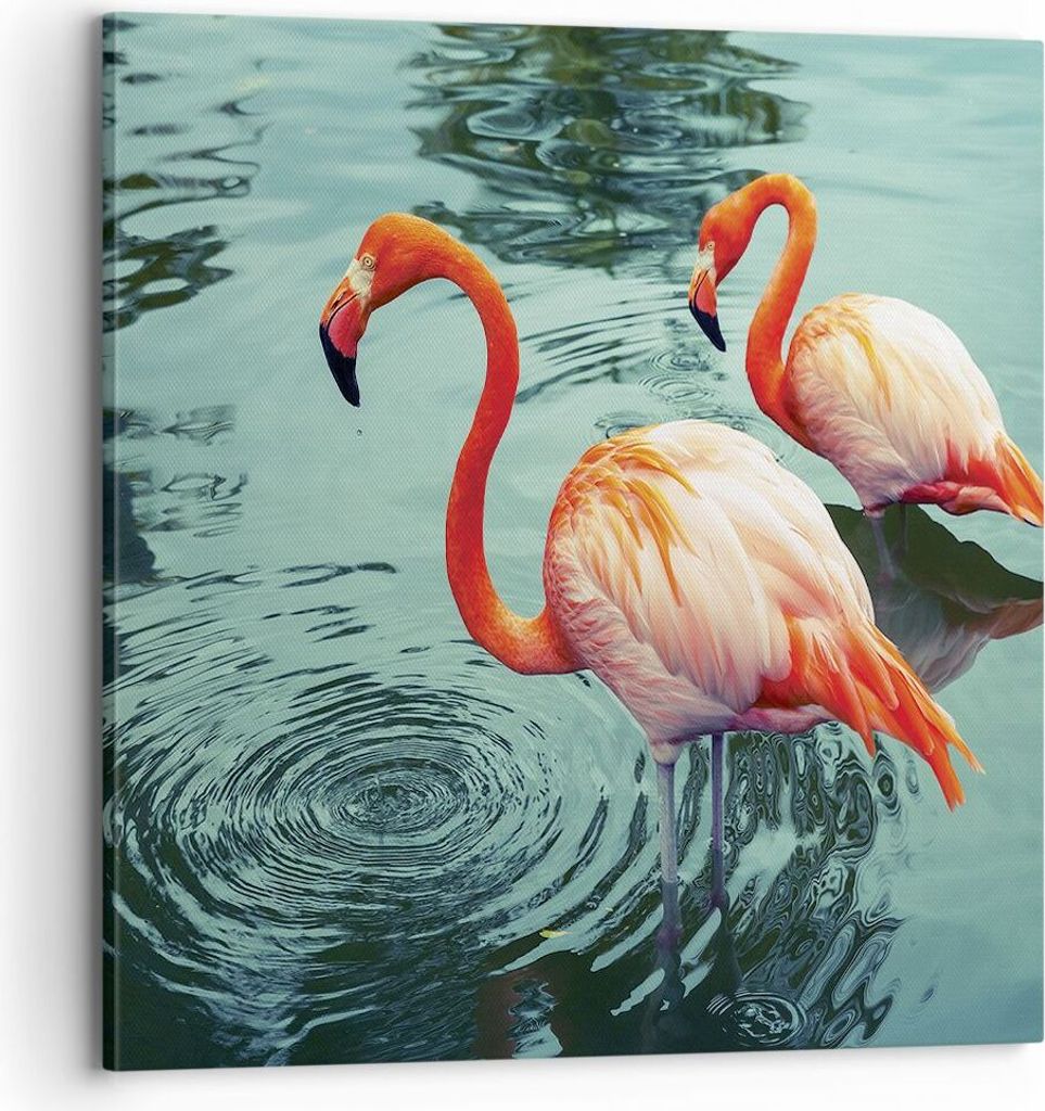 Bild auf Leinwand - Leinwandbild - Einteilig - Rosa Flamingos Wasser - 70x70cm - Wand Bild - Wanddeko - Wandbilder - Leinwanddruck - Bilder - Wandd...