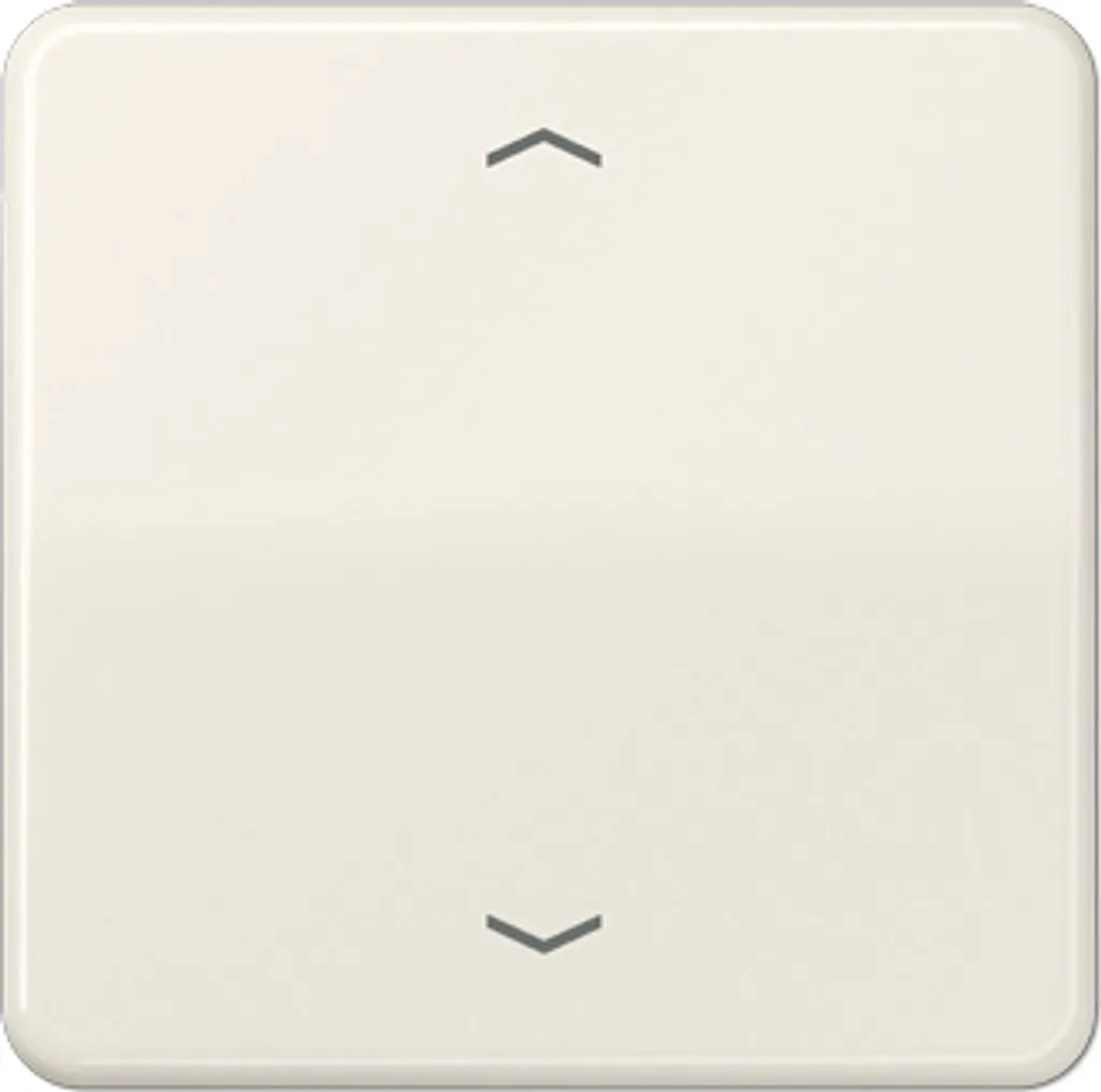 Bascule Jung CD 590 P pour Bouton-Poussoir : Identifiez vos Commandes