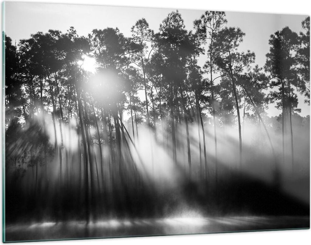 Bilder auf glas - Einteilig - Wald Kiefer Sonne - 120x80cm - Glasbilder - Wandbilder - Bilder - zum Aufhängen bereit - Wanddekoration aus Glas - G...