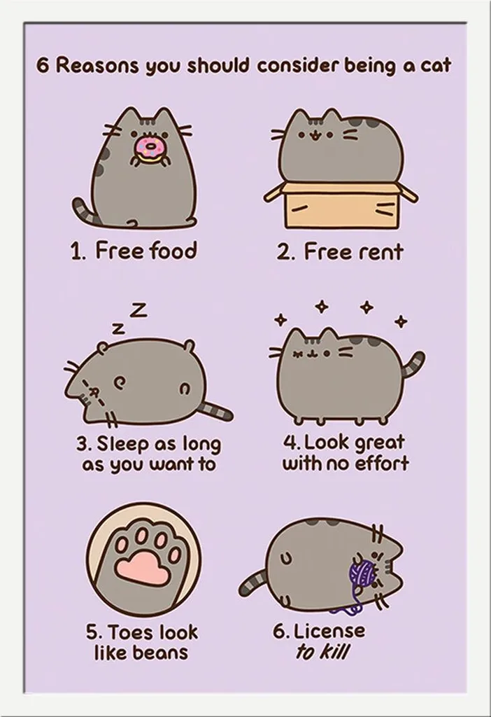 Déco chambre Pusheen : poster encadré blanc Reasons to be a Cat 61cm
