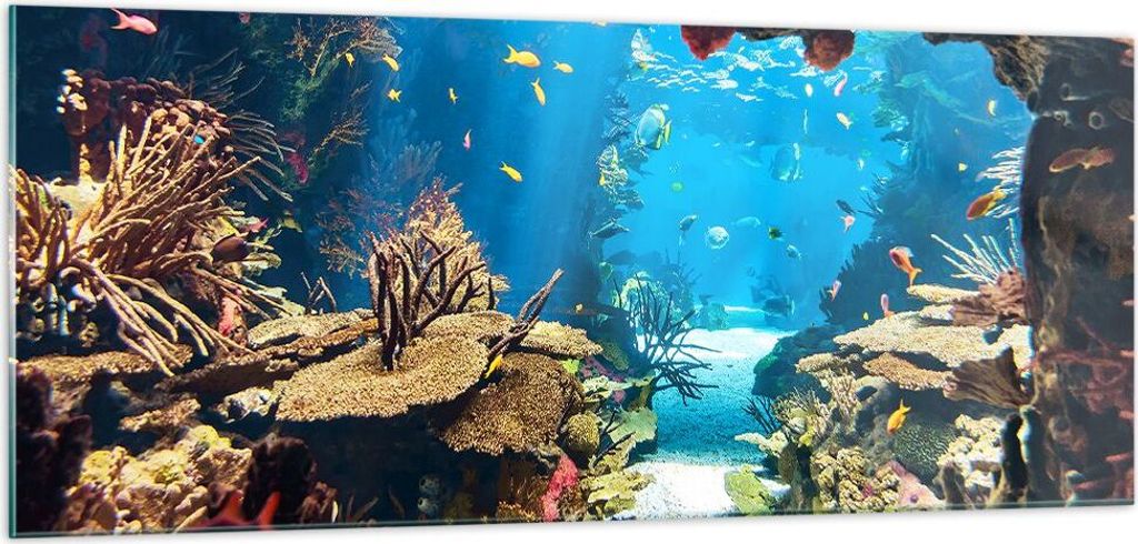 Bilder auf glas - Ozean Riff Fische Koralle - 100x40cm - Glasbilder - Wandbilder - Kunstdruck - zum Aufhängen bereit - Wanddekoration aus Glas - G...