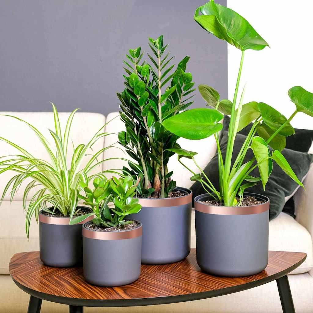 "2026 MODERNE"Kupferband 6 pcs - modernes Design - Kupfer 2000x3cm Kupfer DE447706 - Garten & Heimwerken