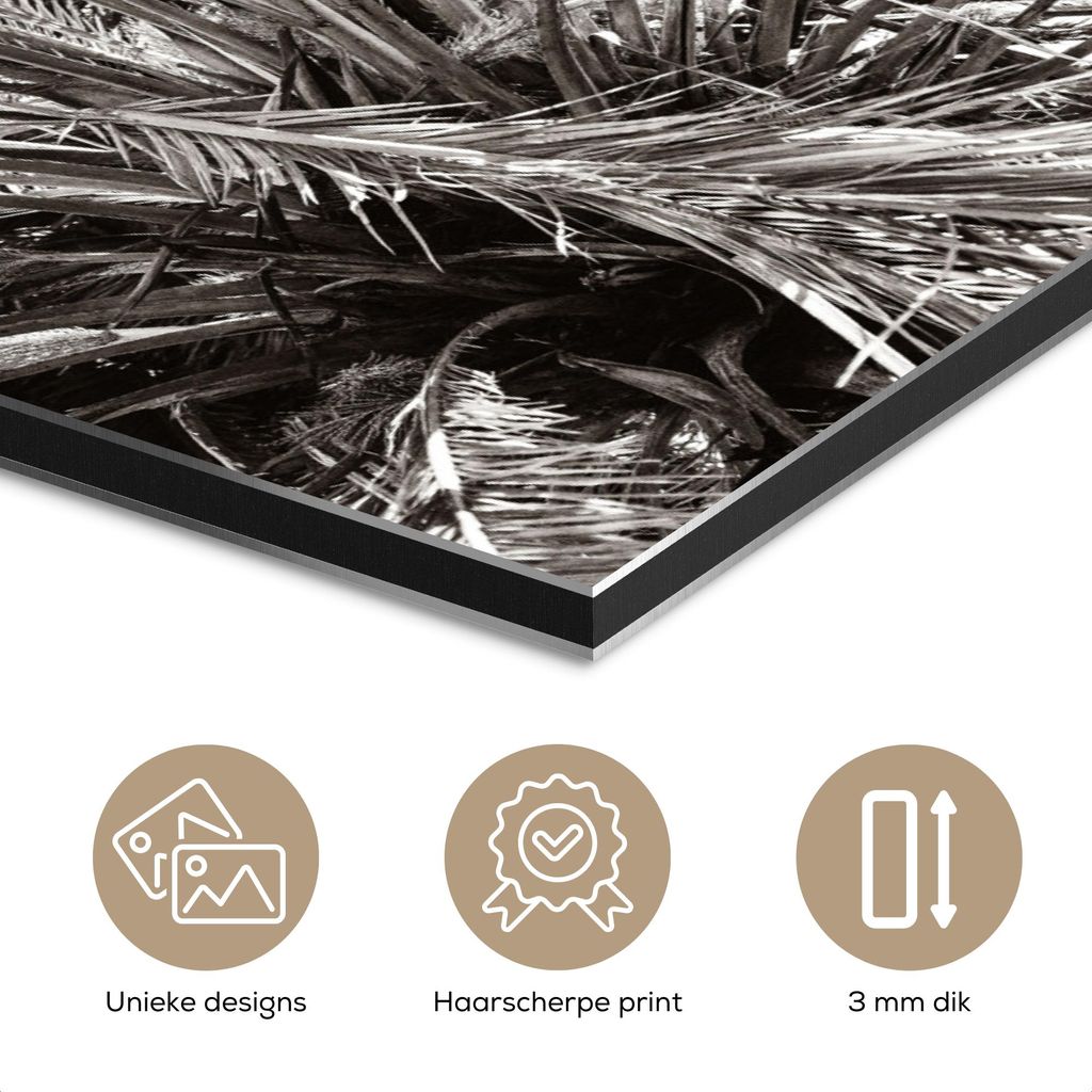 MuchoWow Wanddekoration Metall Metallbild Wandkunst 20x30 cm Palme - Tropisch - Schwarz - Weiß MuchoWow Aluminium Gemälde - Alu Dibond Bild