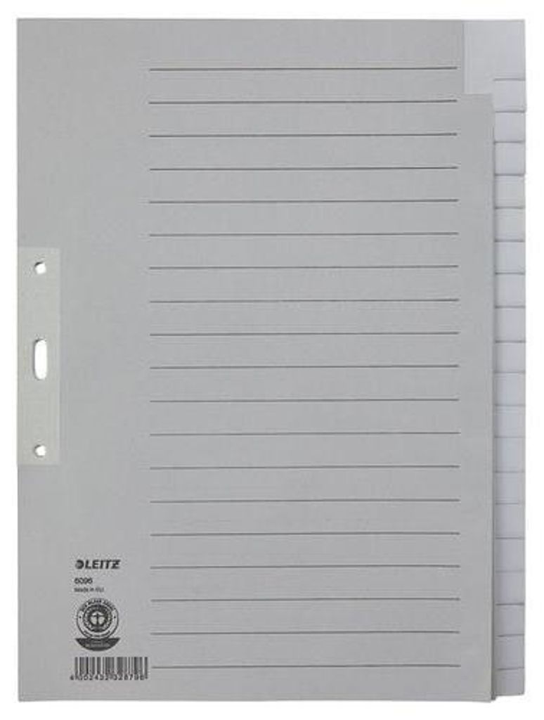 LEITZ Tauenpapier Register blanko A4 20-teilig grau Produktbild 