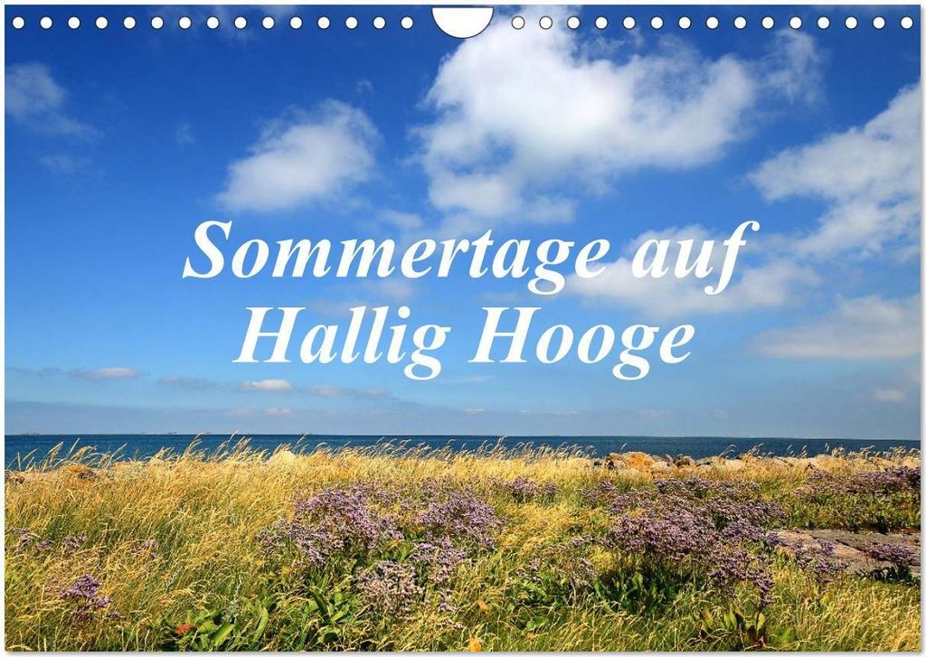 Sommertage auf Hallig Hooge (Wandkalender 2026 DIN A4 quer), CALVENDO Monatskalender