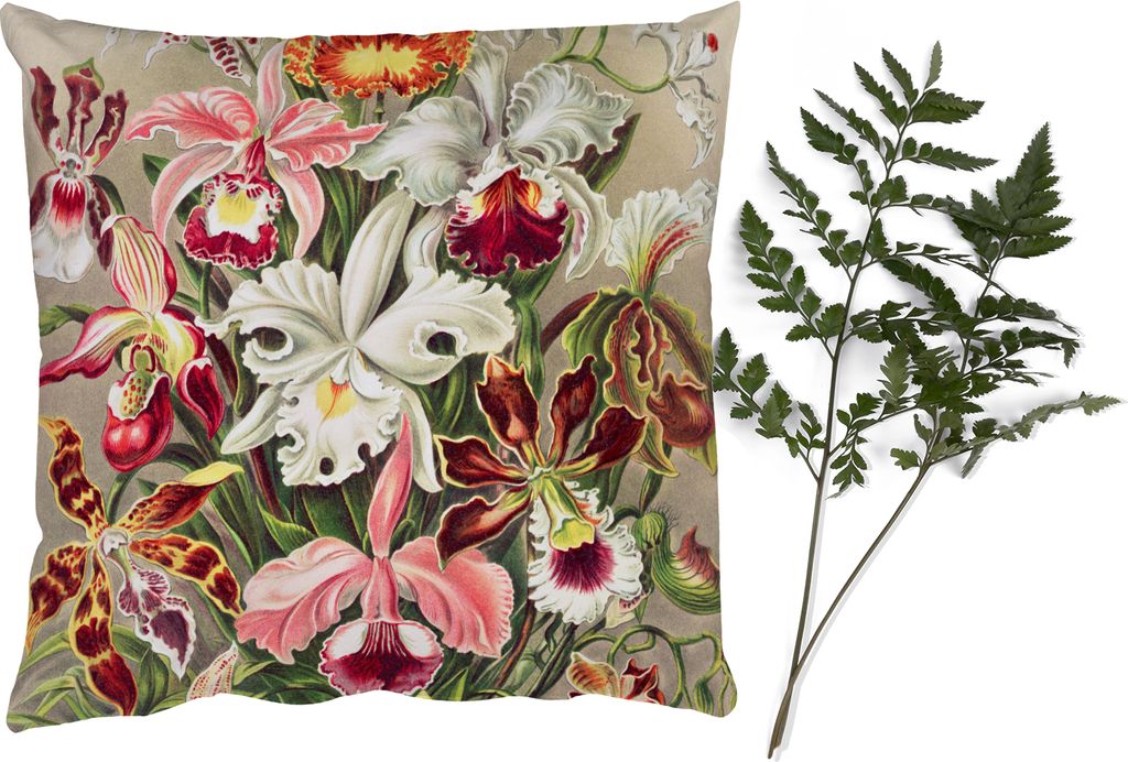 MuchoWow Zierkissen Sofakissen Wohnzimmer Dekokissen 40x40 cm Blumen - Ernst Haeckel - Jahrgang - Orchidee - Foto Kissen - Schlafzimmer Dekoration
